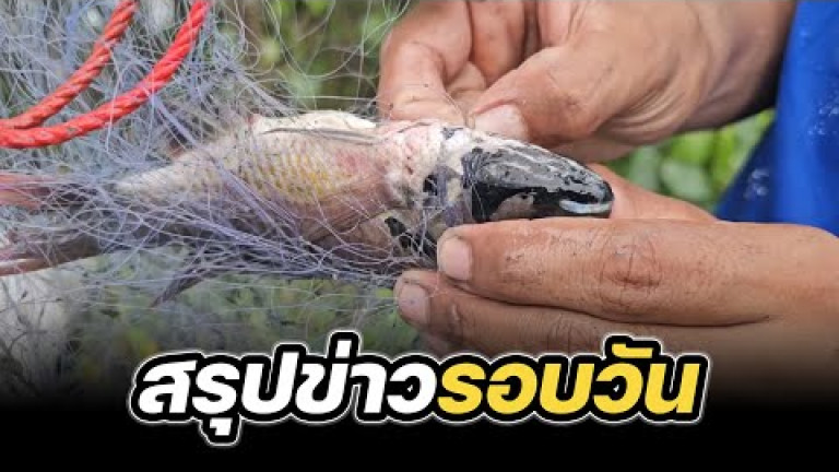Embedded thumbnail for สรุปข่าวรอบวัน 16 กรกฎาคม 2567
